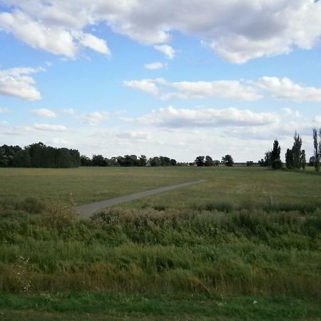 WittenbergAlles Paletti Mit Klimaanlage公寓 外观 照片