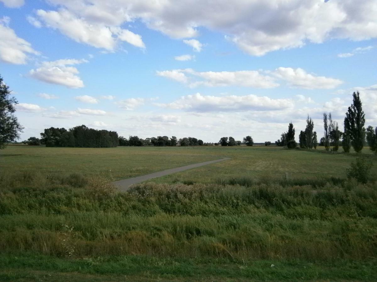 WittenbergAlles Paletti Mit Klimaanlage公寓 外观 照片